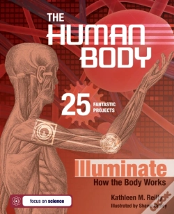 Capa do artigo Human Body
