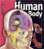 Human Body - Preview