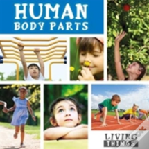 Human Body Parts