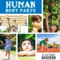Human Body Parts - Preview