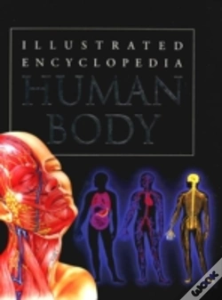 Capa do artigo Human Body