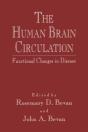 Human Brain Circulation - Preview