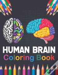 Human Brain Coloring Book