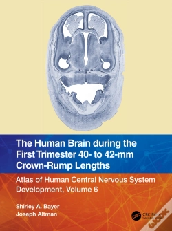 Capa do artigo Human Brain During The First Trimester 40- To 42-Mm Crown-Rump Lengths
