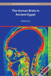 Human Brain In Ancient Egypt