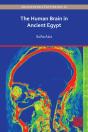 Human Brain In Ancient Egypt - Preview
