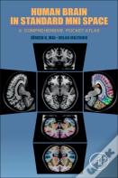 Human Brain In Standard Mni Space