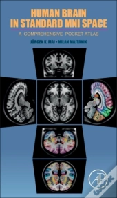 Human Brain In Standard Mni Space