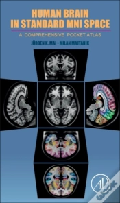 Capa do artigo Human Brain In Standard Mni Space