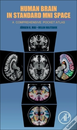 Capa do artigo Human Brain In Standard Mni Space