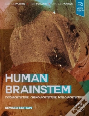Capa do artigo Human Brainstem