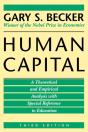Human Capital - Preview