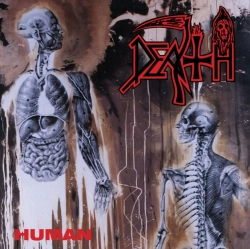 Capa do artigo Human - Cassete