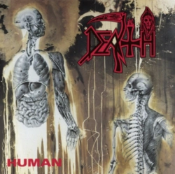 Capa do artigo Human - CD