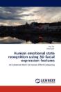 Human Emotional State Recognition Using 3d Facial Expression Features - Preview
