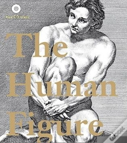 Capa do artigo Human Figure