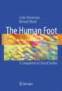 Human Foot - Preview
