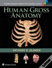 Human Gross Anatomy