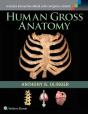 Human Gross Anatomy - Preview