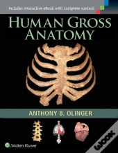 Human Gross Anatomy