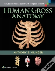Capa do artigo Human Gross Anatomy