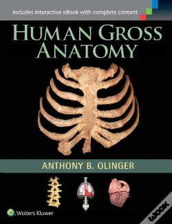 Capa do artigo Human Gross Anatomy
