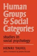 Human Groups And Social Categories