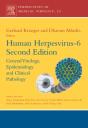 Human Herpesvirus-6 - Preview