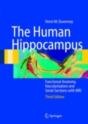 Human Hippocampus - Preview