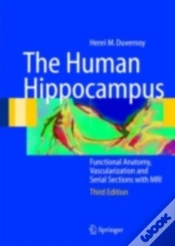 Capa do artigo Human Hippocampus