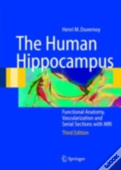 Capa do artigo Human Hippocampus