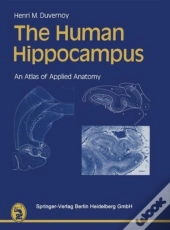 Human Hippocampus