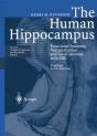Human Hippocampus - Preview