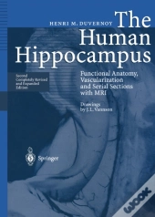 Human Hippocampus