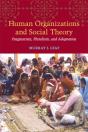 Human Organizations And Social Theory - Preview