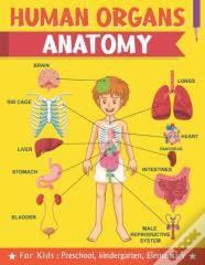 Human Organs Anatomy For Kids Preschool Kindergarten Elementary