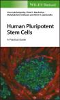 Human Pluripotent Stem Cells - Preview