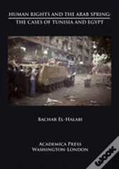 Human Rights And The Arab Spring