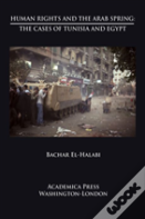 Human Rights And The Arab Spring