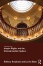 Human Rights And The Criminal Justice System - Preview