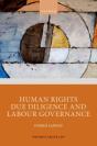 Human Rights Due Diligence And Labour Governance - Preview