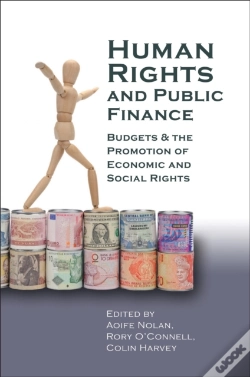 Capa do artigo Human Rights & Public Finance