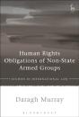 Human Rights Obligations Of Non-State Armed Groups - Preview