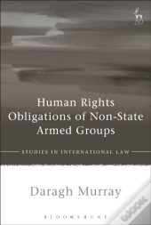 Human Rights Obligations Of Non-State Armed Groups