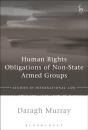Human Rights Obligations Of Non-State Armed Groups - Preview