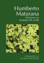 Humberto Maturana - Preview