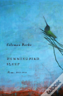Hummingbird Sleep