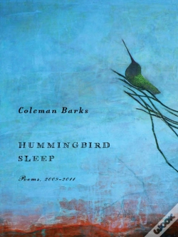Capa do artigo Hummingbird Sleep