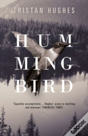 Capa do artigo Hummingbird