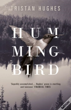 Capa do artigo Hummingbird